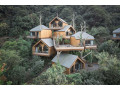 green-house-small-2